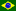 Portuguese (BR)